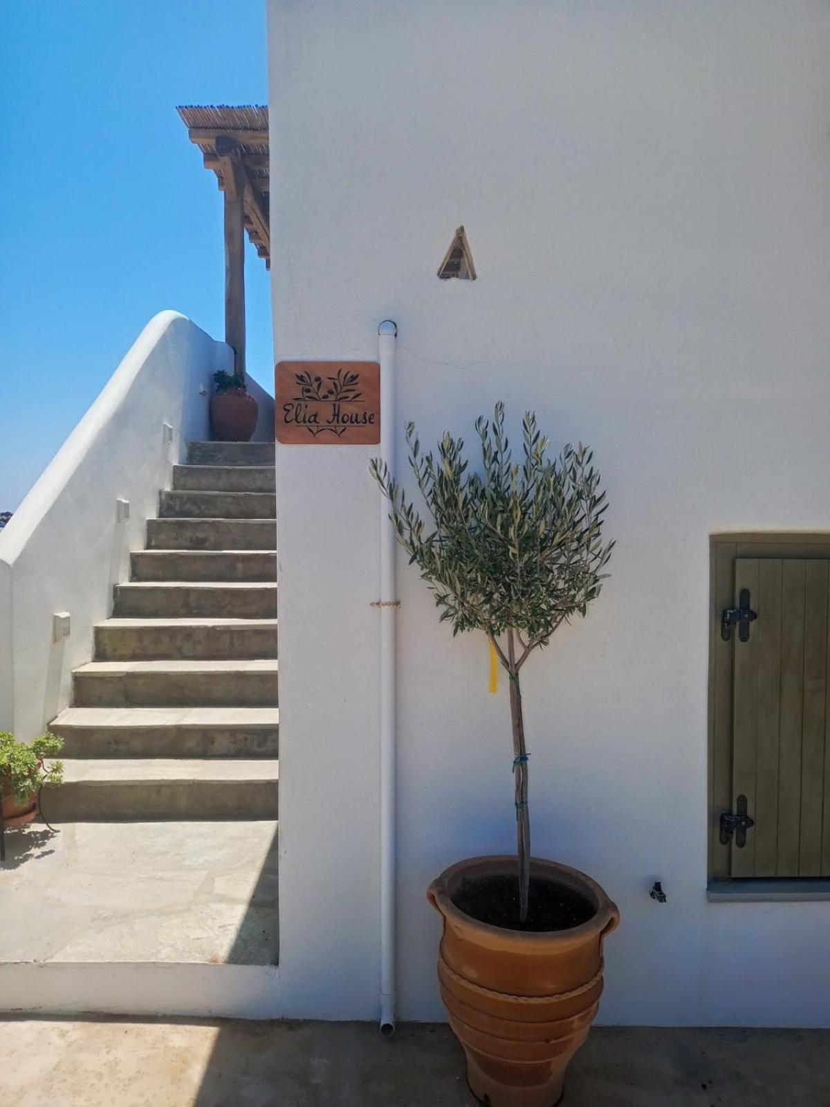Elia House *